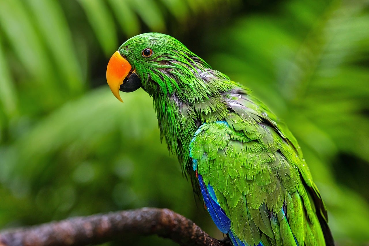 5 9 Million Stunning Free Images To Use Anywhere Pixabay 5-9-million-stunning-free-images-to-use-anywhere-pixabay