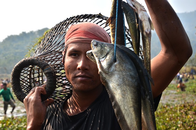 Free Fishing Festival photo and picture