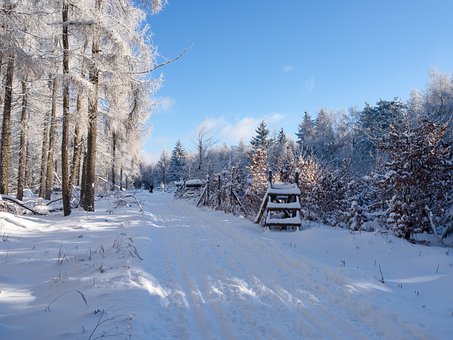 Free Winter Snow photo and picture