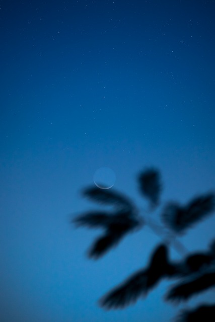 Måne, Natt, Måneskinn, Himmel, Mørk