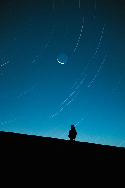 Måne, Natt, Måneskinn, Himmel, Månen