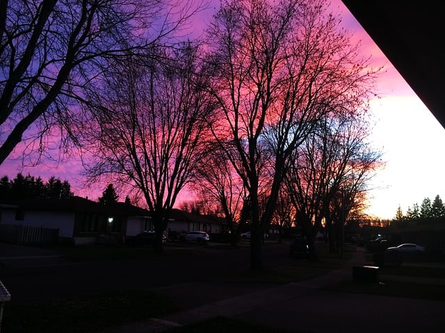 Free Sunset Evening photo and picture