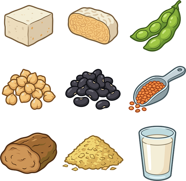 Free plant-based protein tofu vector