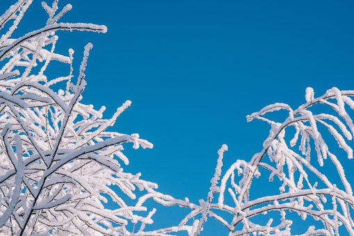 Free Winter Snow photo and picture