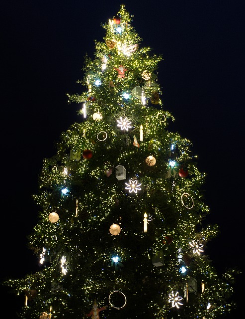 Árbol De Navidad, Navidad, Invierno