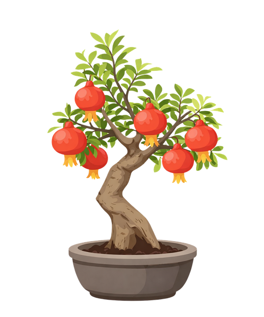 Bonsai, Granatapfel-Bonsai