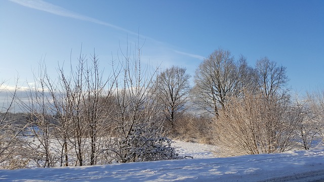 Free Winter Winter Landscape photo and picture