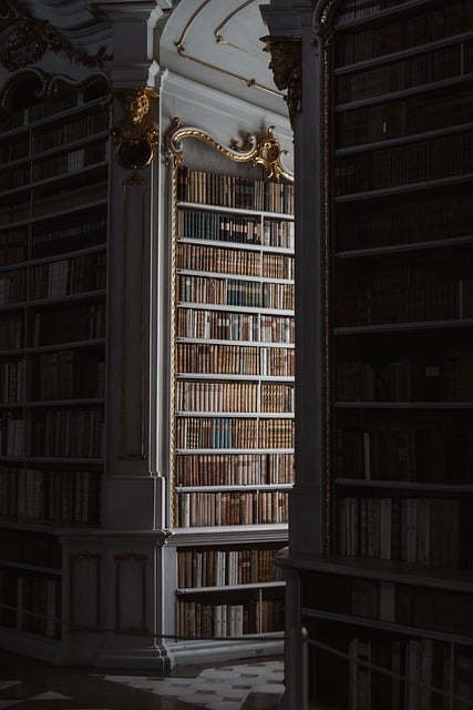 old library, dramatic lighting, antique shelves, lock screen wallpaper, gold accents, shadow play, rare books, european style, historical interior, reading room, ipad wallpaper, samsung wallpaper, trending decor, baroque, library architecture, iphone wallpaper, phone wallpaper, wallpaper, background images, background, mobile wallpaper, 4k, unsplash, pixabay, mobile wallpaper 4k, pexels, beautiful wallpaper, pictures, desktop wallpaper, desktop background