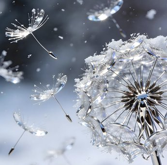 Free Dandelions illustration and picture