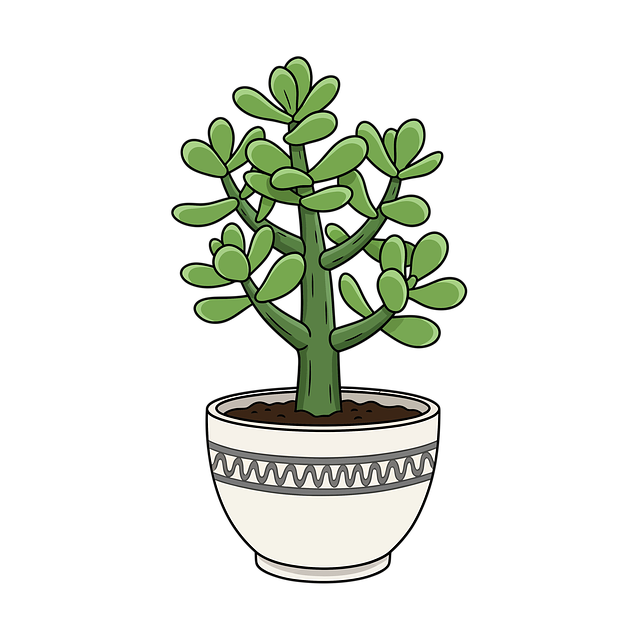 Free cartoon cutout jade plant illustration