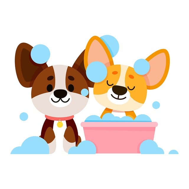 Free animal bath cute illustration