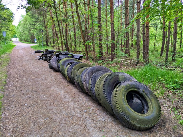 Müll, Wald, Natur, Reifen, Verschmutzung