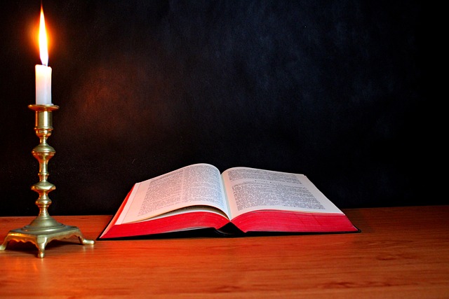 Free Book Reading photo and picture