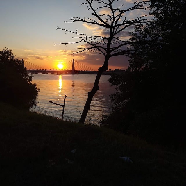 Free Sunset Tree photo and picture