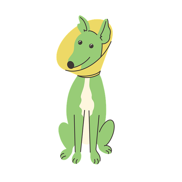 Hund, Kjæledyrs Helse, Veterinæromsorg