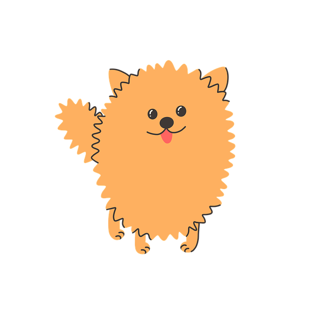 Valp, Søt, Tegneserie, Pomeranian