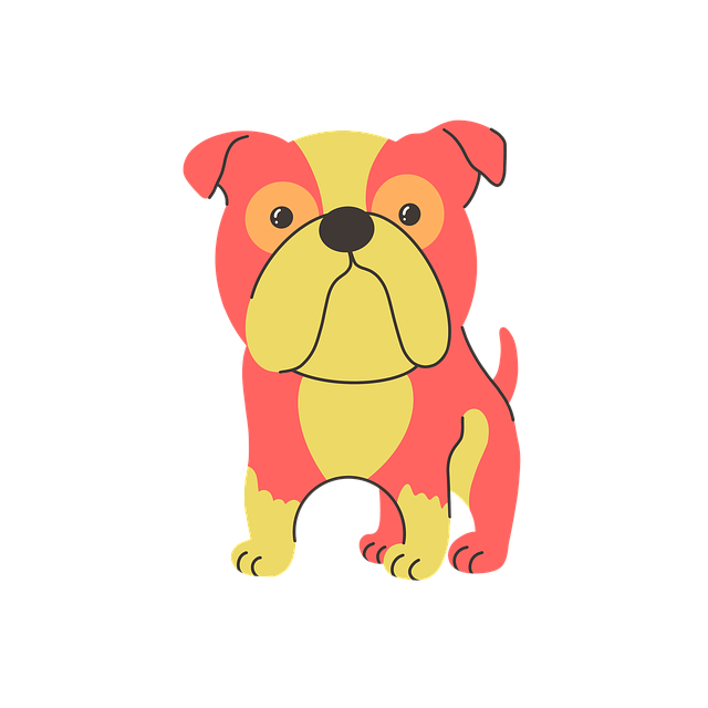 Engelsk Bulldog, Brachycephalisk
