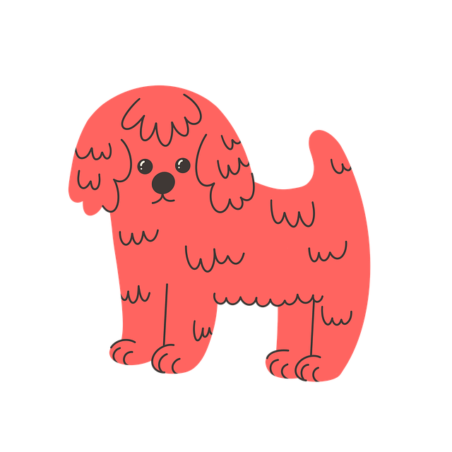 Maltipoo, Søt Hund, Teddy Bjørn Klipp