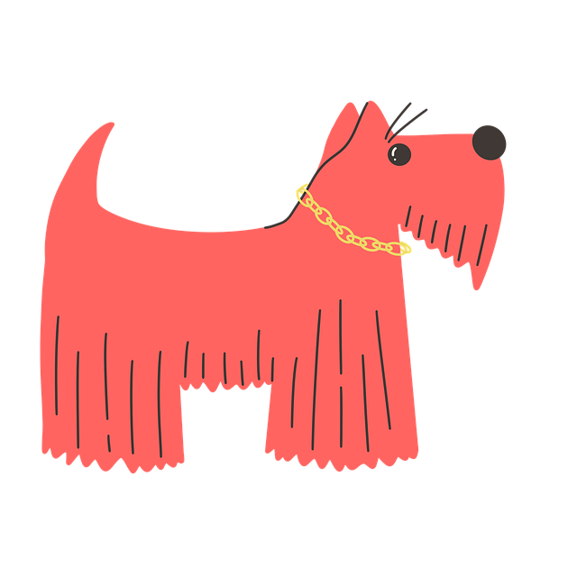 Skotsk Terrier, Korte Ben, Wiret Frakk