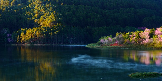 Free Landscape Nature photo and picture