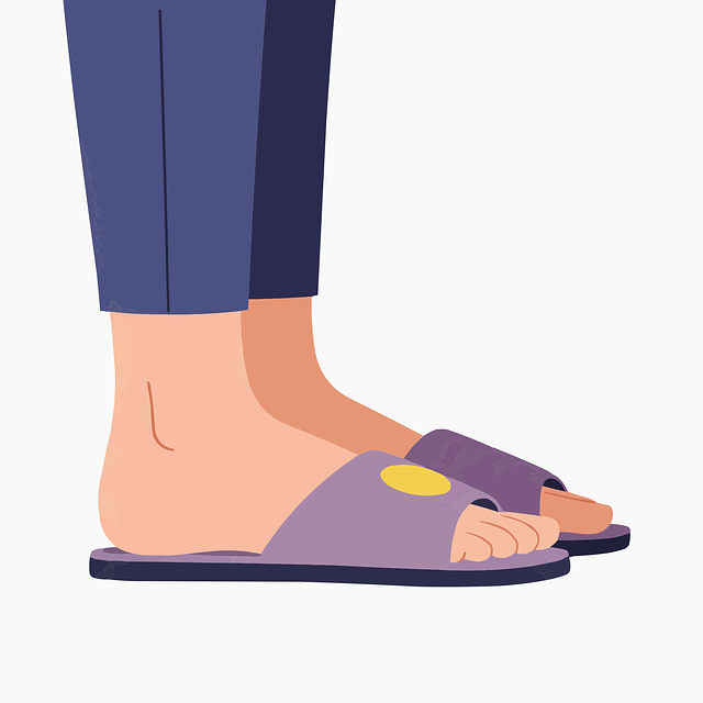 Free slippers footwear legs vector