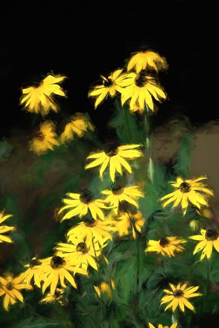 Free Daisies Flowers illustration and picture