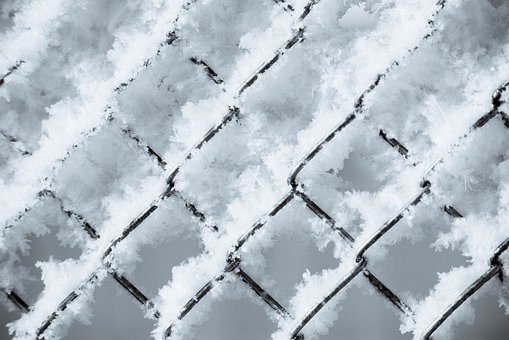 Free Winter Snow photo and picture