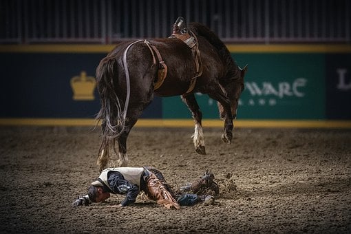 Free Rodeo Bucking Horse illustration and picture