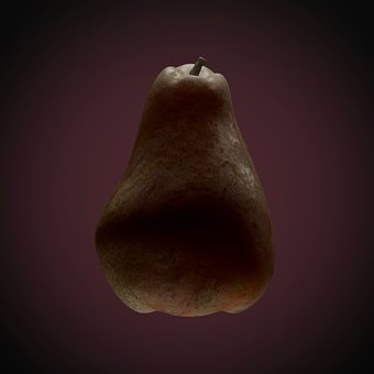 Free Pear Fruit illustration and picture