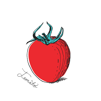 Free Sketch Drawing vector and picture