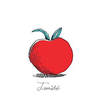 Free Sketch Drawing vector and picture
