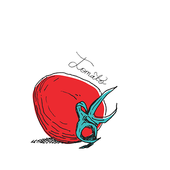 Free Sketch Drawing vector and picture