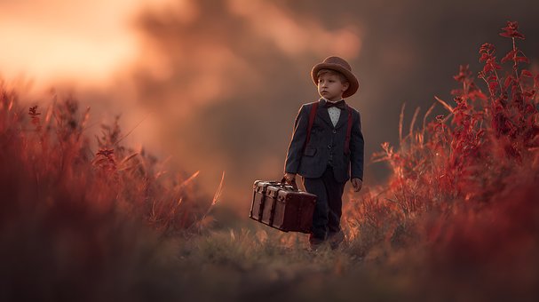 Junge, Koffer, Herbst, Hut, Reise, Natur