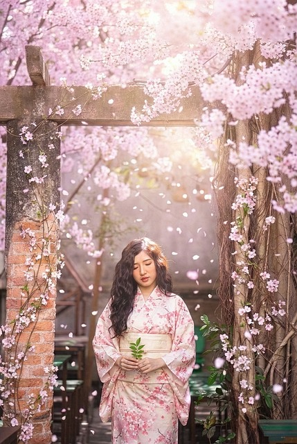 Sakura, Flori, Cultura Japoneză, Kimono