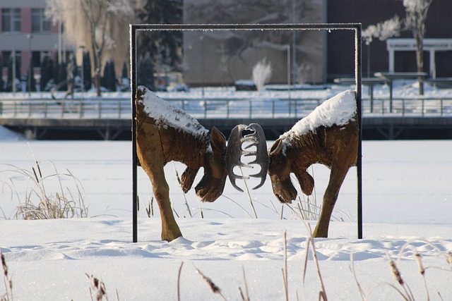 Free Winter Snow photo and picture