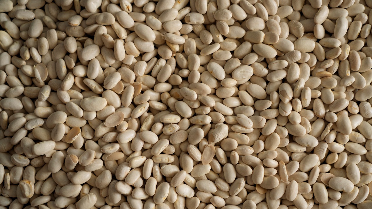 White Beans Healthy Food Pile Of - Free photo on Pixabay