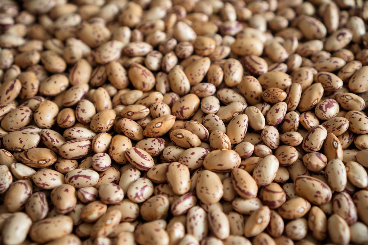 Beans Speckled Healthy Food - Free photo on Pixabay