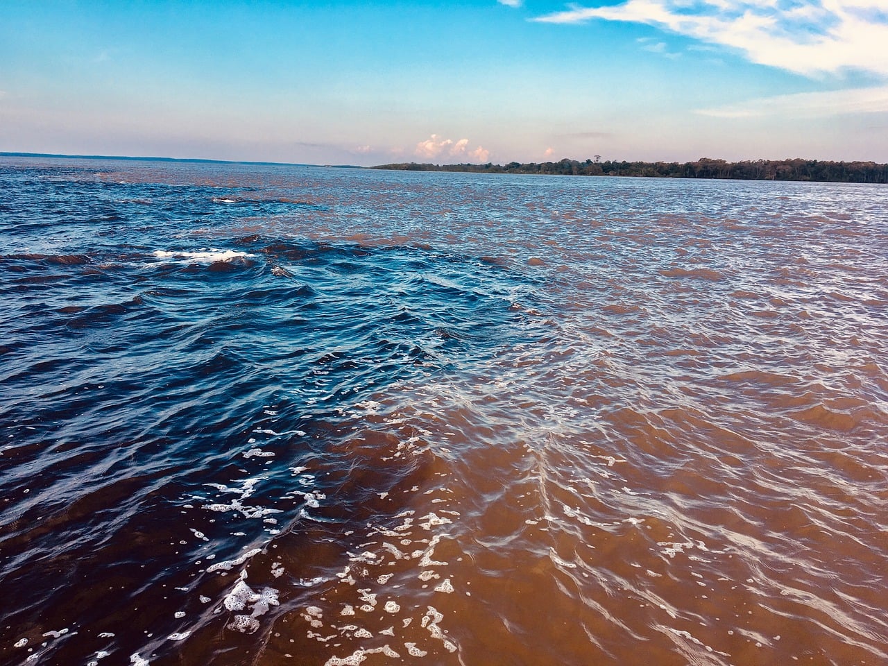 Brasilien, Amazonas, Natur, Fluss