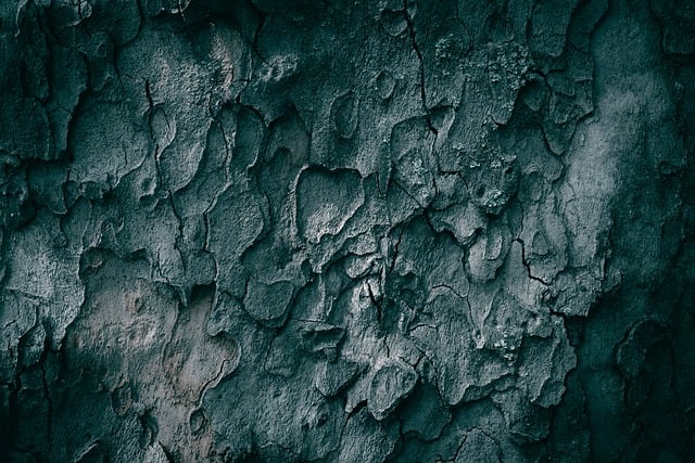 Free Tree Bark photo and picture