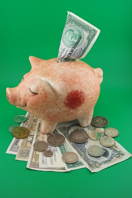 Free Money Cash photo and picture