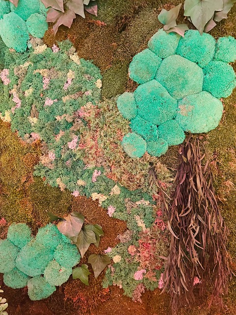 Free Moss Garden photo and picture