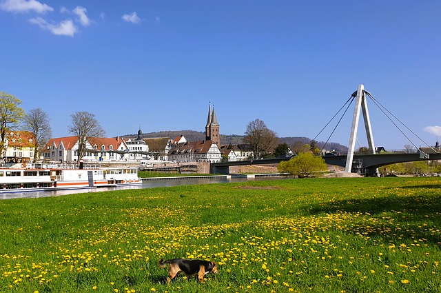 Stadtlandschaft, Weser Fluss, Wiese