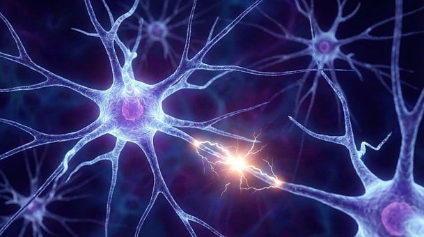 Free Neuron Signal illustration and picture