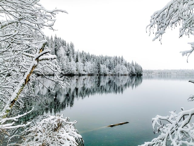Winter, snow, nature and landscape — photo by eventoplena