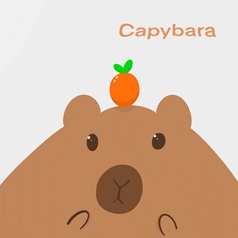 Free Capybara Cartoon photo and picture