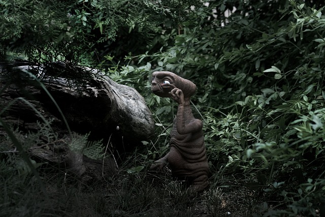 Free Alien Forest photo and picture