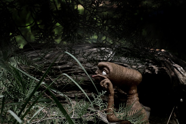 Free Alien Forest photo and picture