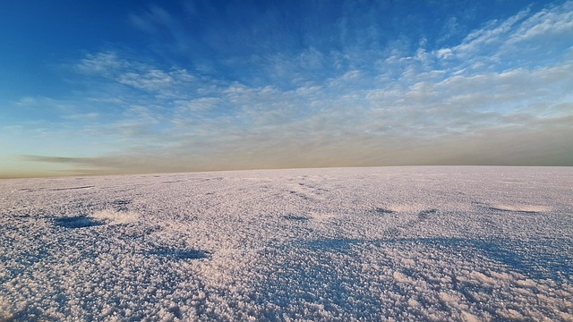 Free Winter Snow photo and picture