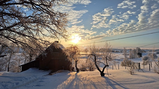 Free Winter Snow photo and picture