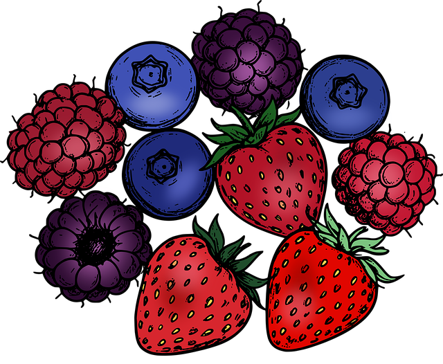 Download free HD stock image of Berry Fruit Free berry fruit nature vector